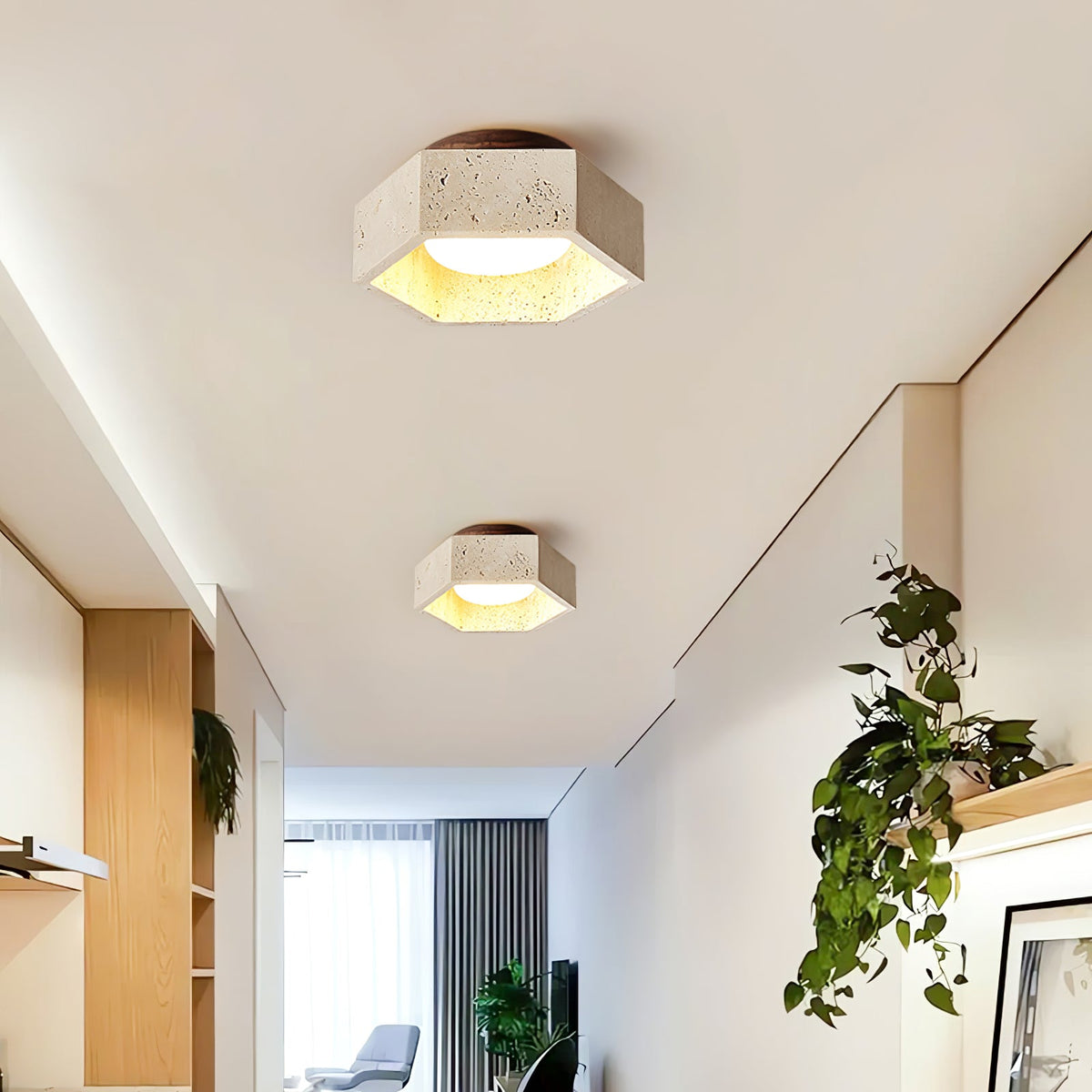Hexa Core Ceiling Light