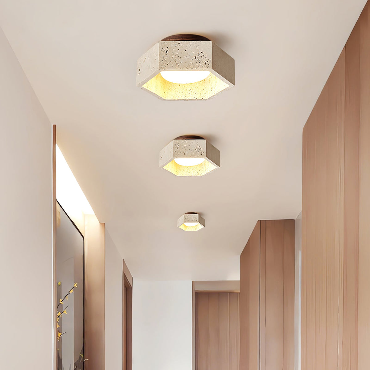 Hexa Core Ceiling Light