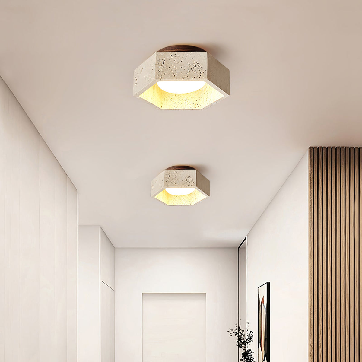 Hexa Core Ceiling Light
