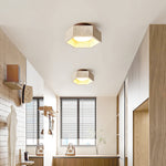 Hexa Core Ceiling Light