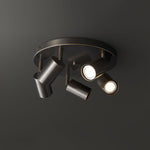 Hugo Hotspot Ceiling Light