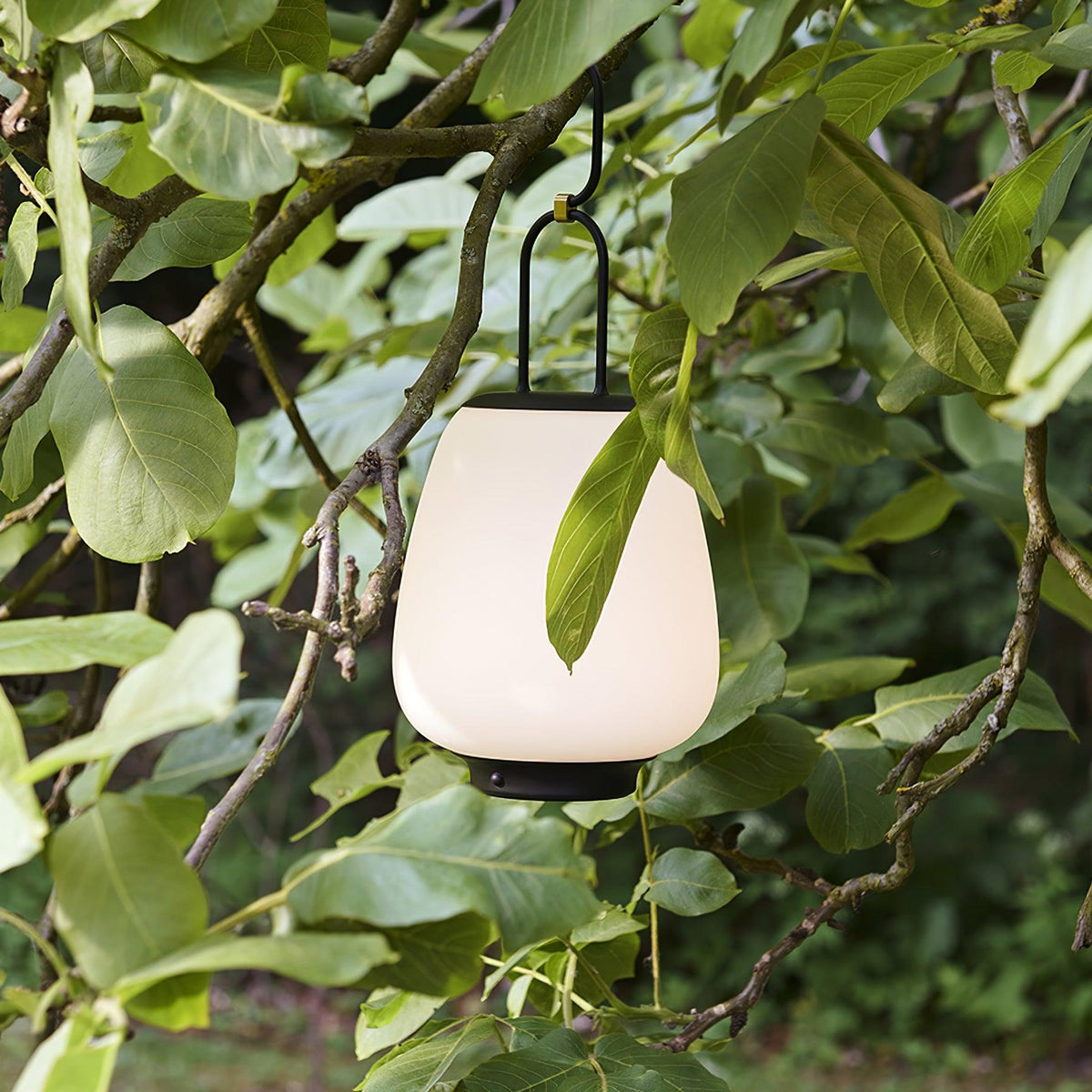 Lucia Lantern Table Lamp 6.3"