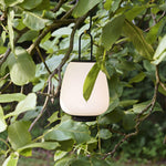 Lucia Lantern Table Lamp 6.3"