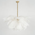 Ostrich Feather Chandelier