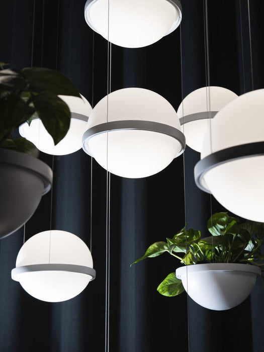 Palma Pendant Lamp