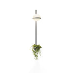 Solstice Outdoor Wall Light