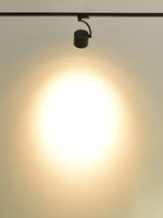 Paloma Ceiling Light