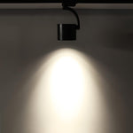 Paloma Ceiling Light