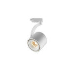 Paloma Ceiling Light