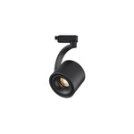 Paloma Ceiling Light