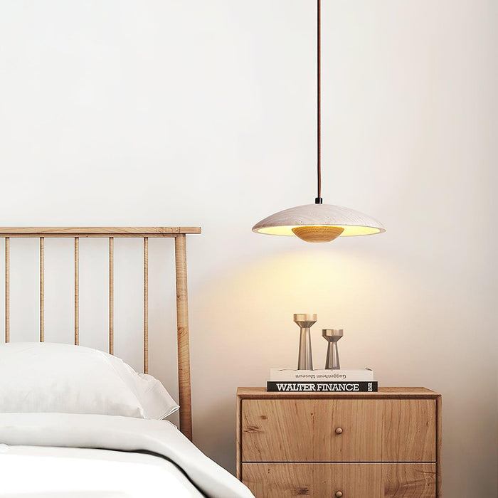Plate Pendant Lamp 9.8"