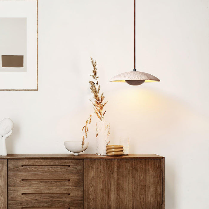 Plate Pendant Lamp 9.8"