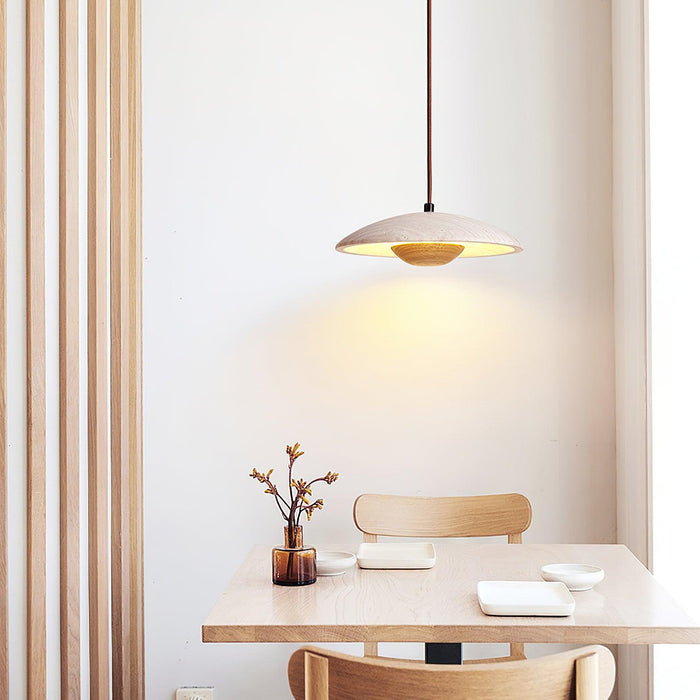 Plate Pendant Lamp 9.8"