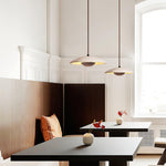 Plate Pendant Lamp 9.8"