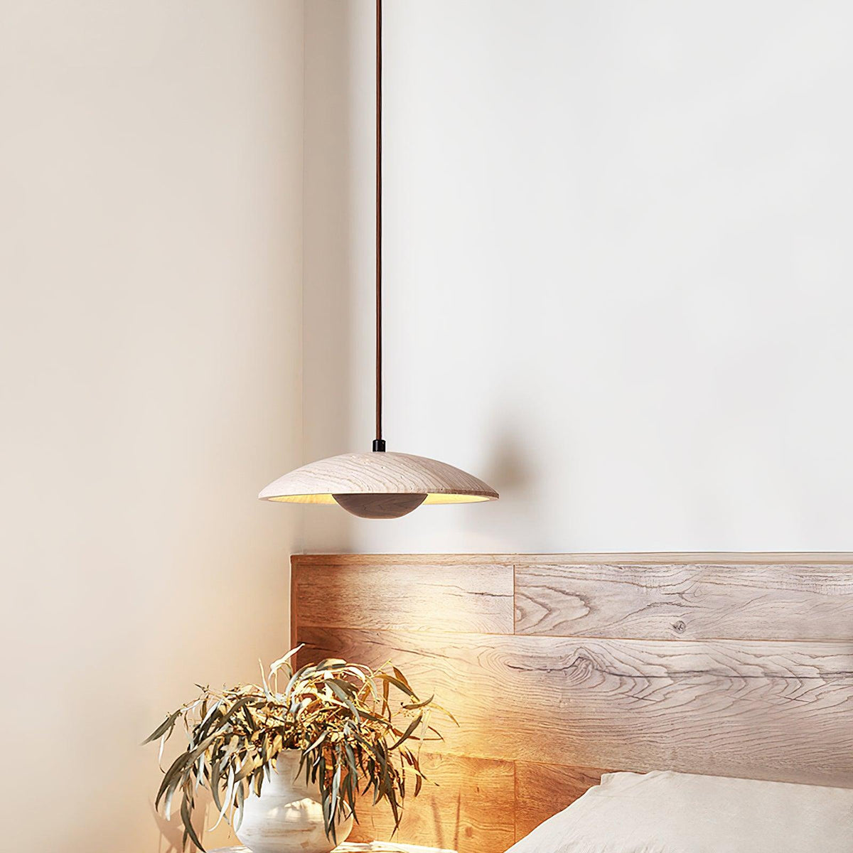 Plate Pendant Lamp 9.8"