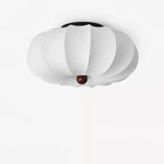 Pompeluna Celing Light