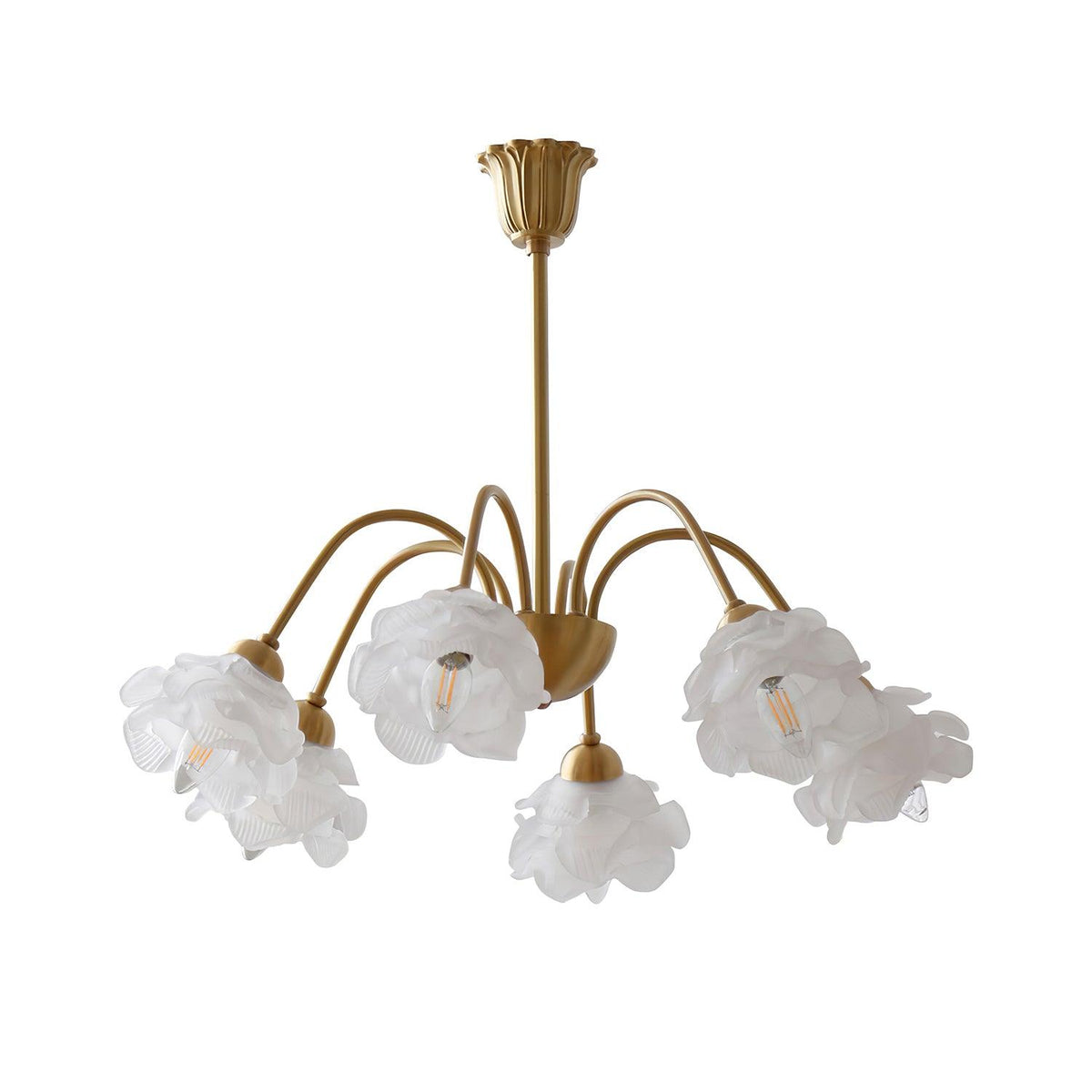 Roses Chandelier