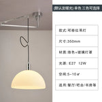 Nordic Rotatable Pendant Lamp Chandelier Study Bar Indoor Rocker Lamp