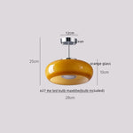 Walnut LED Ceiling Lamp Modern Indoor Lighting Fixture