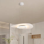 Modern LED Ceiling Chandelier Black/White Minimalist Living Room Bedroom Nordic