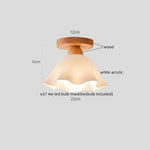 Walnut LED Ceiling Lamp Modern Indoor Lighting Fixture