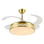 Ceiling Fan with LED Lights and Remote Control, Wholesale Factory Fan Covers