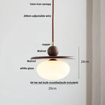Afralia™ Glass LED Pendant Lamp with Walnut Wood Brass Accent