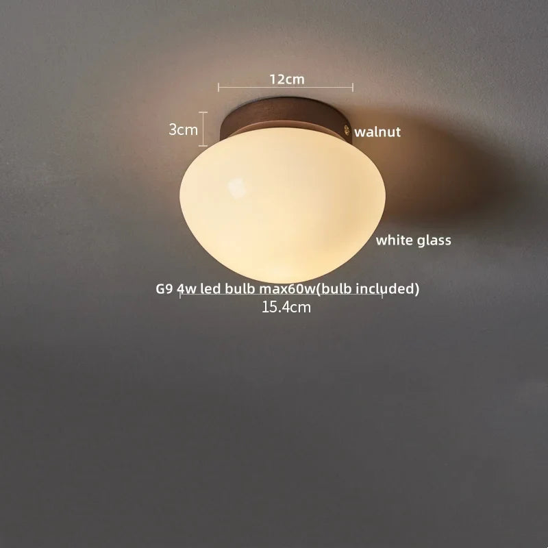 Modern LED Ceiling Light Iron Glass Nordic Ceiling Lamp