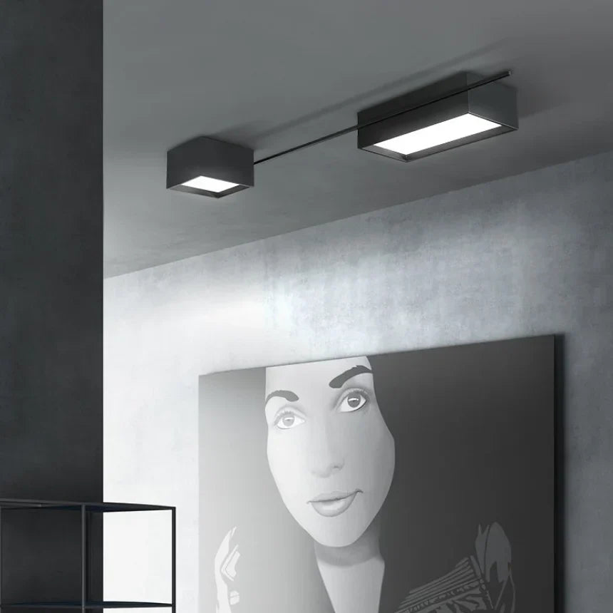 Black Nordic LED Ceiling Lights Chandeliers for Modern Living Room Decoration
