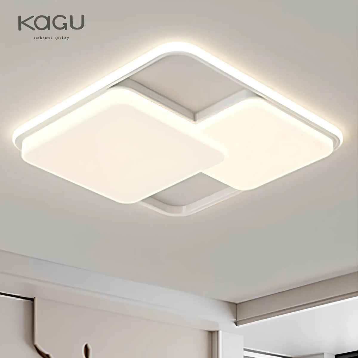LED Ceiling Lights: Bedroom, Kitchen, Whole House Indoor Lighting Fixtures