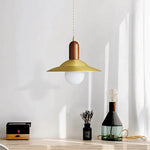 Modern Copper Wood LED Pendant Lamp for Living Dining Bedroom, Nordic Design
