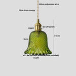 Walnut Wood LED Pendant Light Fixture Glass Hanging Lamp