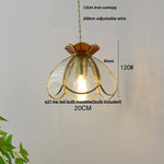 Clear Glass LED Pendant Lights for Modern Home Decor and Restaurant, 200cm Wire