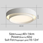 Modern Copper Ceiling Light for Living Room Bedroom Decor
