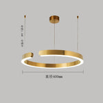 Nordic Ring LED Pendant Chandelier for Home Living Dining Kitchen Lighting