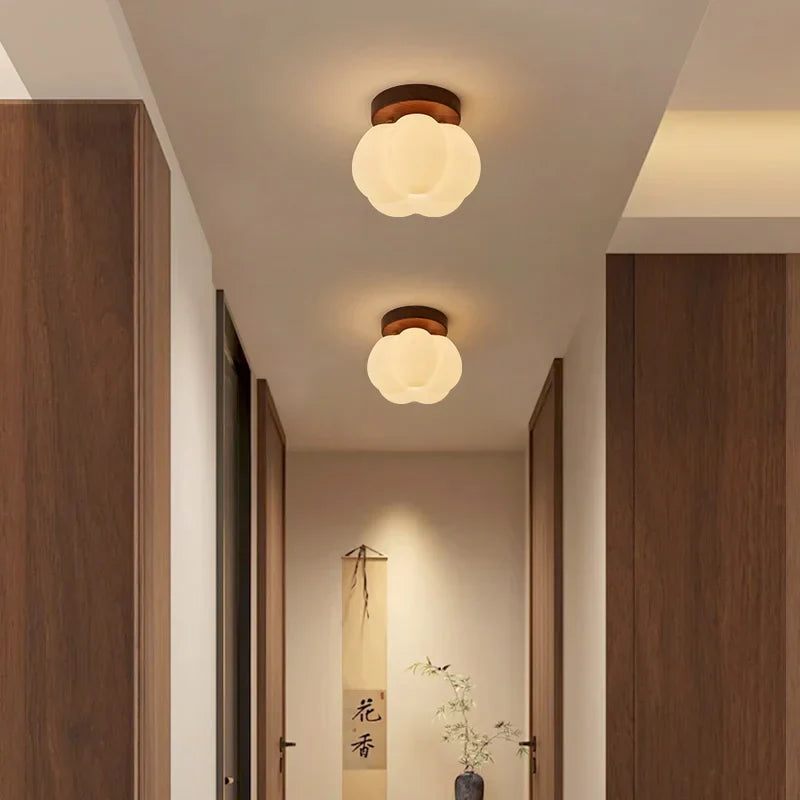 LED Modern Ceiling Light for Living Room Balcony, Nordic Style Indoor Lighting Fixtures