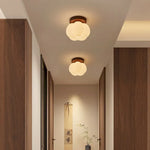 LED Modern Ceiling Light for Living Room Balcony, Nordic Style Indoor Lighting Fixtures