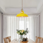 Blue Iron Art LED Pendant Light, Nordic Modern Style for Home and Commercial Spaces