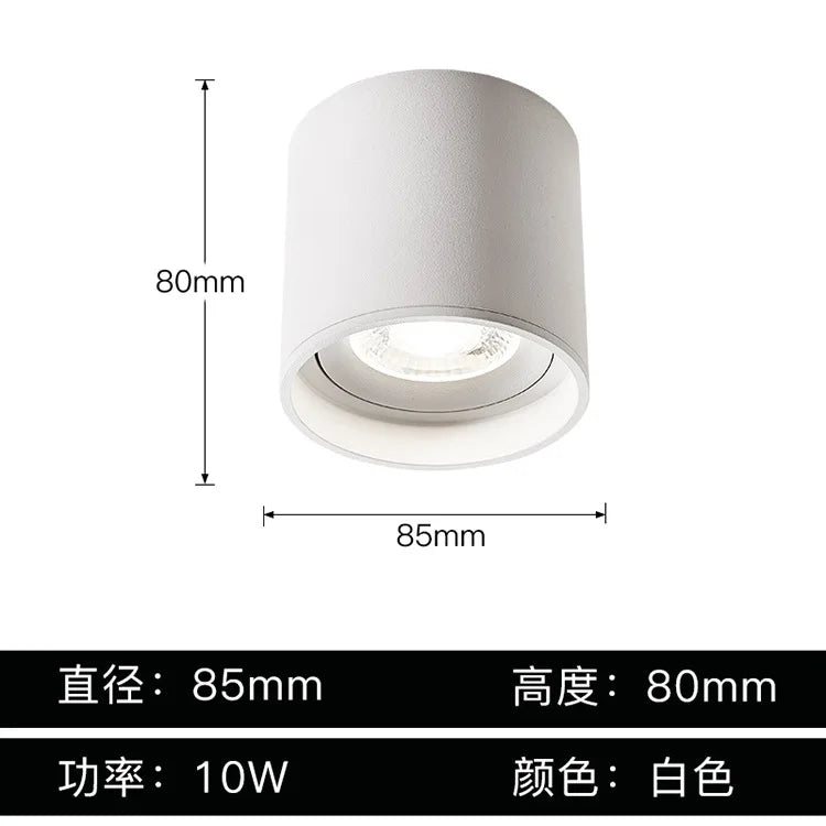 Aluminum Ceiling Lamp: Cylindrical Surface Mounted Downlight with Adjustable Beam Angle