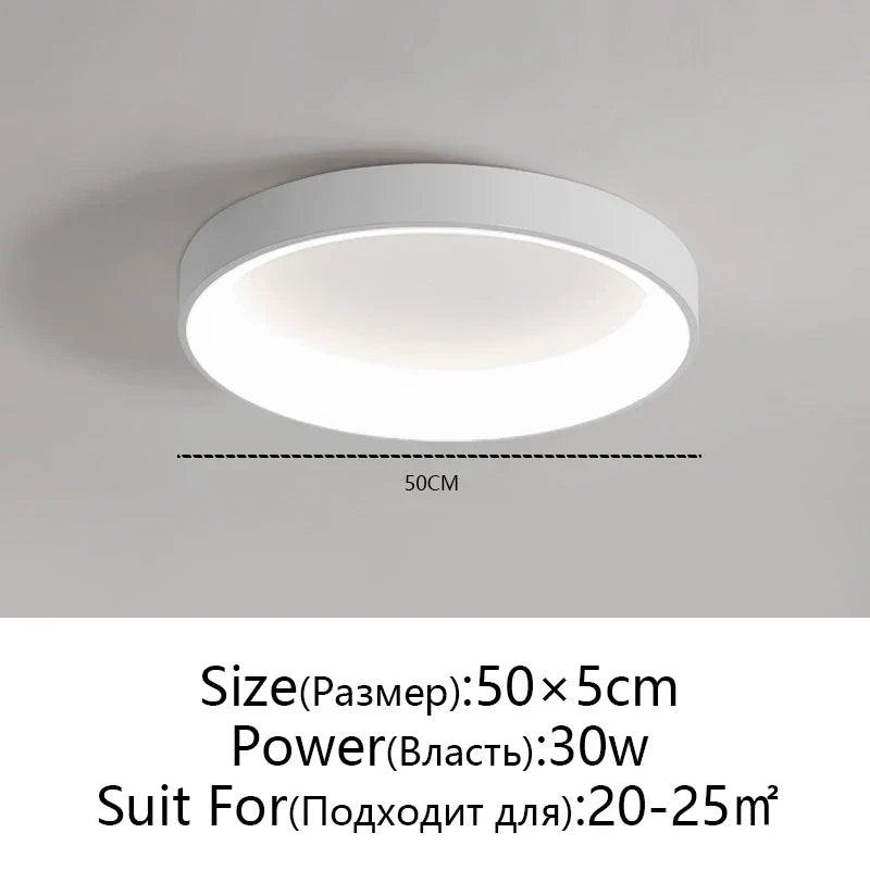 LED Ceiling Lights: White Grey Modern Design, Dimmable for Living Room Bedroom Dining