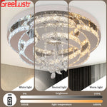 Crystal Raindrop Flowers Remote LED Chandelier Ceiling Light for Living Room