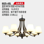 Modern Loft Ceiling Chandelier Lights for Living Room, Bedroom, Kitchen - Indoor Pendant Lamps & Hanging Fixtures