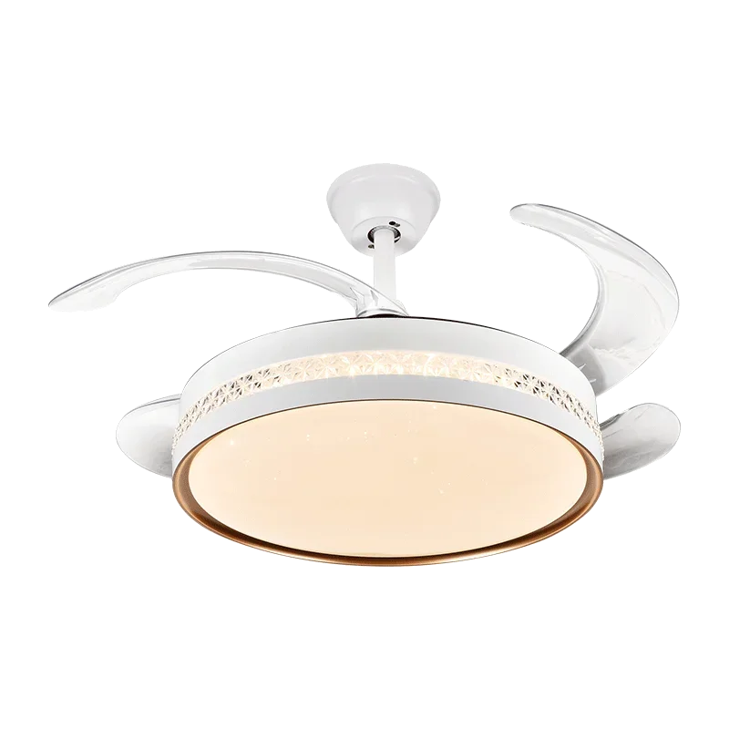Modern Minimalist Integrated Ceiling Fan Lamp