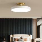 LED Ceiling Lamp for Living Room Study Child Bedroom Indoor Lighting