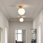Modern LED Ceiling Light Iron Glass Nordic Ceiling Lamp