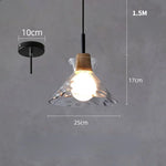 Clear Glass Pendant Lamp with LED Lights for Home Decor