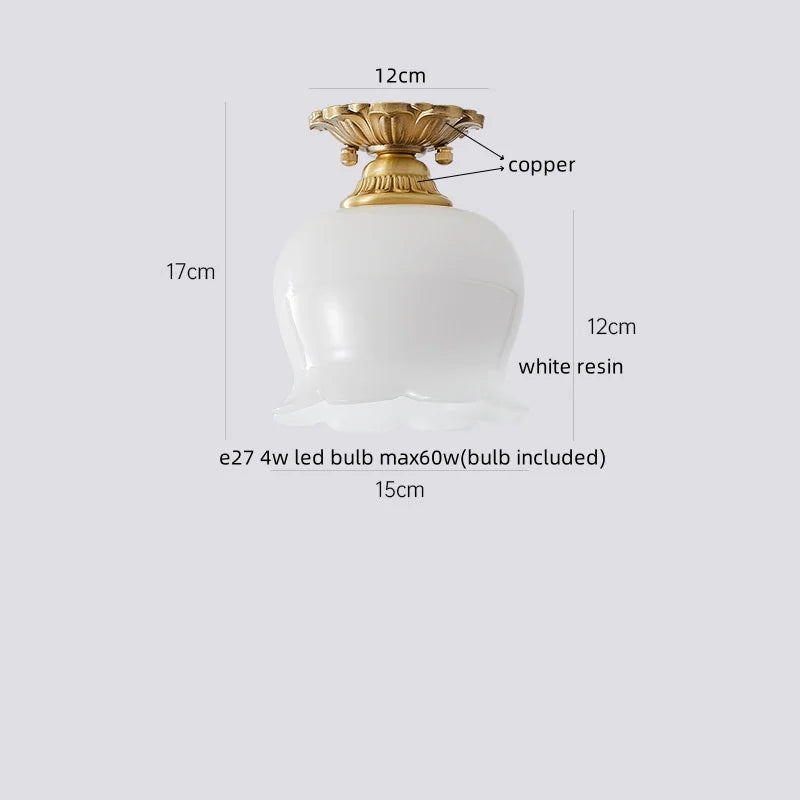 Walnut LED Ceiling Lamp Modern Indoor Lighting Fixture