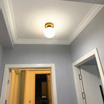 Sleek LED Luxury Ceiling Lamp for Modern Living Spaces