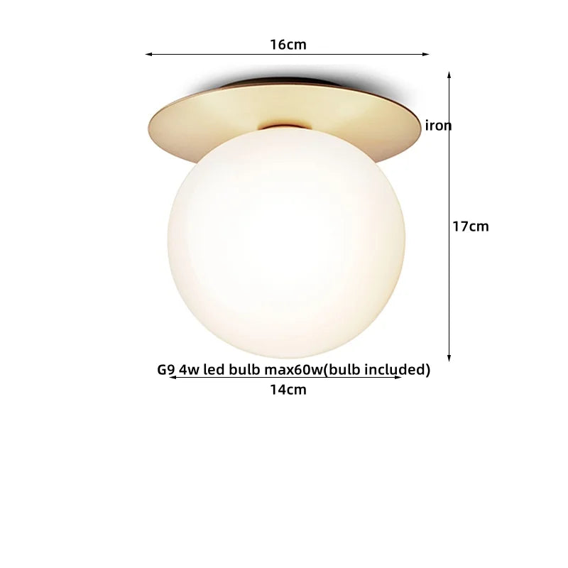 Iron Glass LED Ceiling Lamp Ball Shape Modern Living Room Light Fixtures