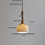 White Glass LED Pendant Light Fixture Modern Nordic Hanging Lamp Wood Ash